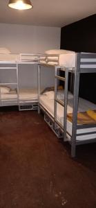 Standard 4 Bed Dormitory