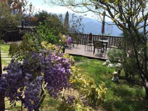 Phòng 4 người Nhìn ra cảnh Núi non (Quadruple Room with Mountain View)