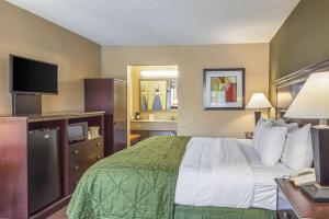 King Room room in Quality Inn & Suites Greenville - Haywood Mall