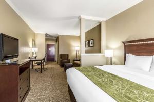 King Suite - Non-Smoking room in Comfort Suites Houston IAH Airport - Beltway 8