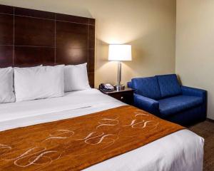 King Suite with Sofa Bed - Non-Smoking room in Comfort Suites Houston Northwest Cy-Fair