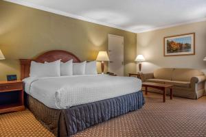 King Room with Sofa Bed - Non-Smoking room in Quality Hotel Conference Center Cincinnati Blue Ash