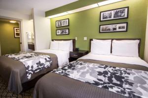 Double Room - Non-Smoking  room in Sleep Inn Miami Airport