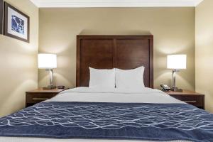 Standard Room, 1 Queen Bed, Non Smoking room in Comfort Inn Sunnyvale – Silicon Valley