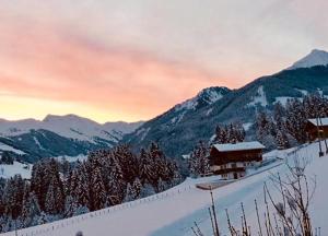 Traditionelles Marchanger Haus In Den Bergen Alpbach Austria