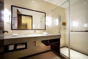 Phòng Đôi Cao Cấp không có Cửa Sổ và Đỗ Xe (Superior Double Room without Window and Parking)