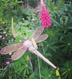 Dragonfly Cottage Grovetown New Zealand J2ski