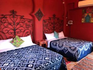 Phòng 4 người (Quadruple Room)