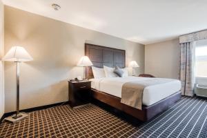 King Room room in Alexis Hotel & Banquets Dallas Park Central Galleria