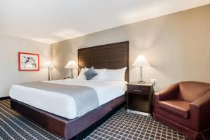 King Room - Disability Access room in Alexis Hotel & Banquets Dallas Park Central Galleria