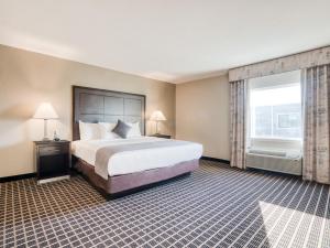 Junior Suite room in Alexis Hotel & Banquets Dallas Park Central Galleria