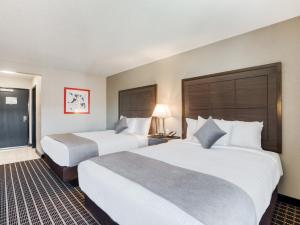 Queen Room with Two Queen Beds room in Alexis Hotel & Banquets Dallas Park Central Galleria
