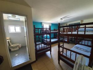 Phòng Ngủ Tập Thể 10 Giường Cho Cả Nam Và Nữ (10-Bed Mixed Dormitory Room)