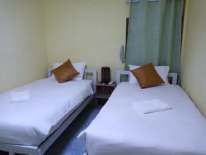 Deluxe Twin Room room in D House hostel