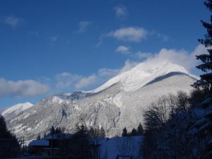 Haus Zippermuhle Ehrwald Austria J2ski