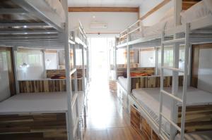 Phòng Ngủ Tập Thể Cho Cả Nam Và Nữ (Mixed Dormitory Room)