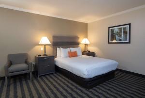 Queen Room with Two Queen Beds - Disability Access room in Best Western Silicon Valley Inn