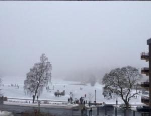 Haus Am See Kleine Hexe Hahnenklee Bockswiese Germany J2ski