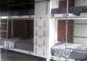 Giường Đơn Trong Phòng Nghỉ Tập Thể Cho Cả Nam Và Nữ (Single Bed in Mixed Dormitory Room)