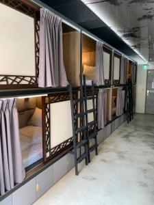 1 Giường Tầng trong Phòng Tập Thể - Chỉ cho Nữ (1 Bunk Bed in Dormitory - Female Only)