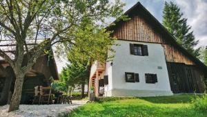 Alpine House 1100 Bohinj Slovenia J2ski