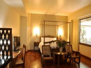 Suite Executive (Executive Suite)