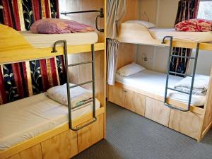 Single Bed in 8-Bed Dormitory Room room in The Flaming Kiwi Backpacker