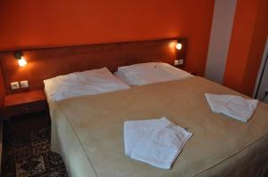 Double or Twin Room room in City Central De Luxe