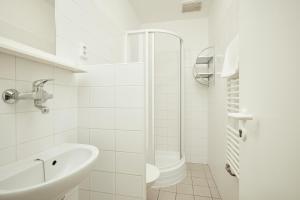 Comfort Double Room with Shower room in Hostel Mikoláše Alše