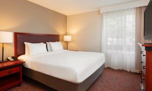 Executive Suite room in Larkspur Landing Sunnyvale-An All-Suite Hotel