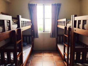 Phòng tập thể Nữ - Có phòng tắm chung (Female Dormitory - Shared Bathroom)