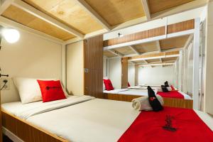 Giường Đơn trong Phòng ngủ tập thể dành cho Nam (Single Bed in Male Dormitory Room)