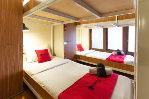 Giường Đơn Trong Phòng Ngủ Tập Thể Nữ (Single Bed in Female Dormitory Room)