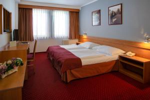 Single Room room in Hotel Globus