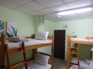 Giường Tầng Trong Phòng Ngủ Tập Thể Cho Nam Và Nữ (Bunk Bed in Mixed Dormitory Room)