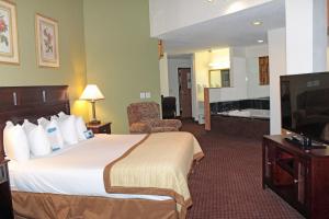 Executive King Suite - Non-Smoking room in Baymont by Wyndham Battle Creek Downtown