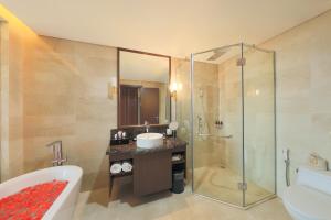 Studio Suite