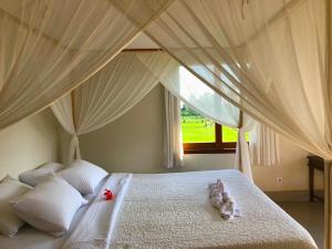 Phòng Giường Đôi Hạng Bình Dân (Budget Double Room)