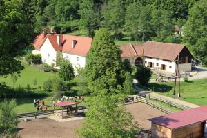 Islandpferde Wellinghof Neurath Austria J2ski