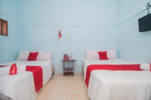 Phòng Suite (Suite Room)