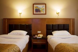 Standard Double or Twin Room room in Maadi Hotel
