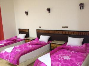 Triple Room room in One Season Hostel Cairo