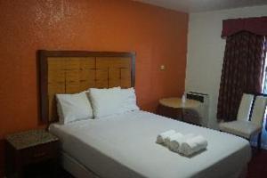 Room #53300904 room in Las Palmas Hotel