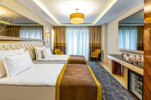 Deluxe Double or Twin Room room in Beethoven Senfoni Hotel