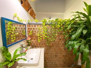 Phòng Ngủ Tập Thể Cho Cả Nam Và Nữ (Mixed Dormitory Room)
