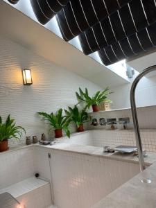 Phòng 4 Người có Sân hiên (Quadruple Room with Terrace)