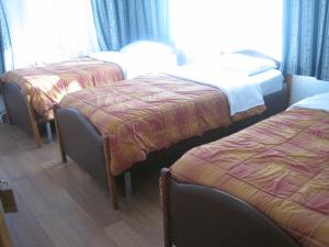 Basic Triple Room with Shared Bathroom room in Kose Pension