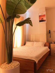 Phòng 4 Người Có Ban Công (Quadruple Room with Balcony)