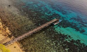 Jungle Lanai Cottage with Free Snorkeling at House Reef