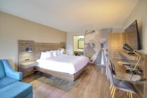 King Room - Accessible/Non-Smoking room in Clarion Pointe Downtown Gatlinburg